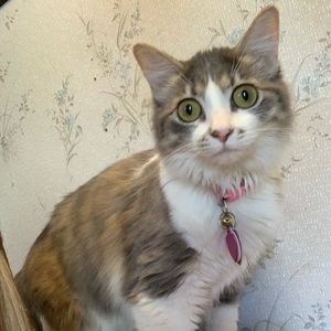 Meet your Posher, Leeann